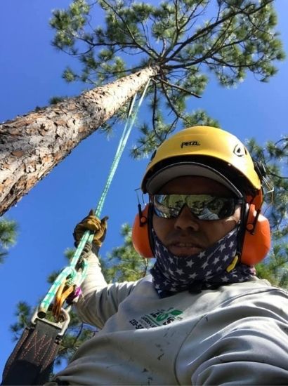About Chapin Tree Climber