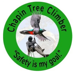 The logo of Chapin Tree Climber. It features a Chapin Tree Climber employee using safety gear to climb a tree. The logo is surrounded by text that reads safety is my goal. 