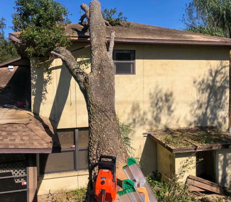 Hurricane Ian Storm Cleanup Naples