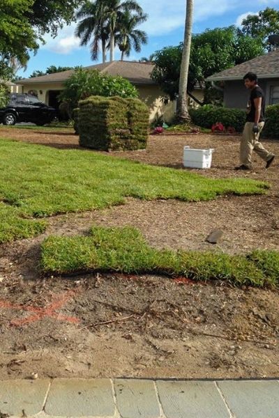 Sod Installation Landscaper