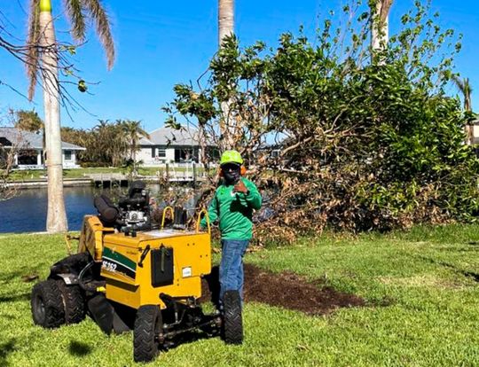 Stump Grinding Service Ft Myers FL