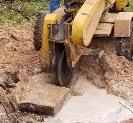 Stump Grinding near me