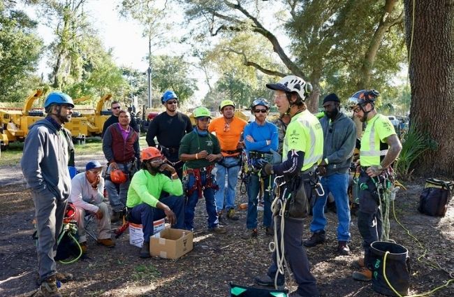 Tree Climber Safety Training