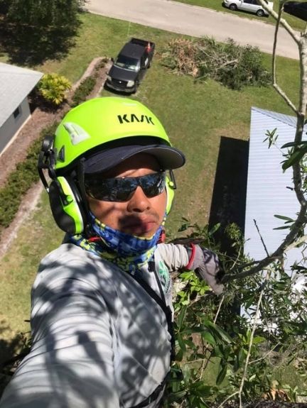 A Chapin Tree Climber employee taking a selfies from the top of a 30 foot tree. He can do this safely due to his training and professional gear.